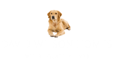 dwh.png
